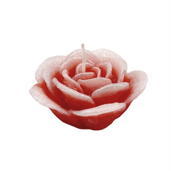 CANDLE ROSE 1 PEARLY RED