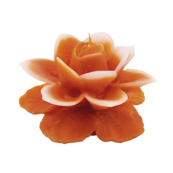 CANDLE BEAUTIFUL ROSE ORANGE