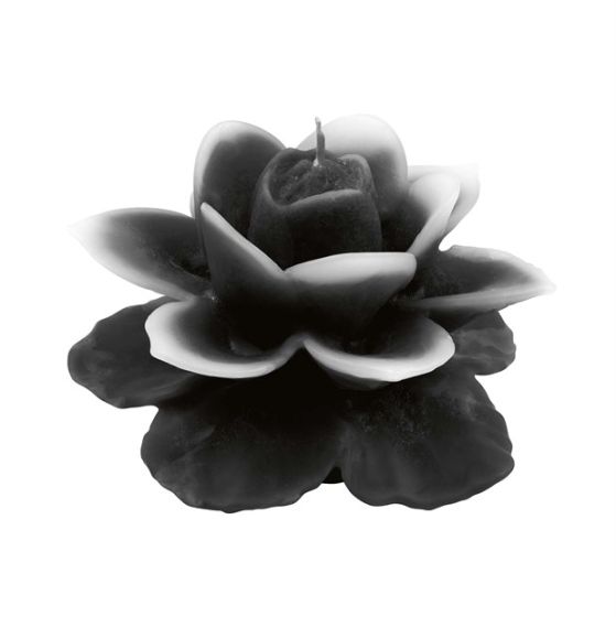 LUMÂNARE FRUMOASĂ ROSE NEAGRĂ
