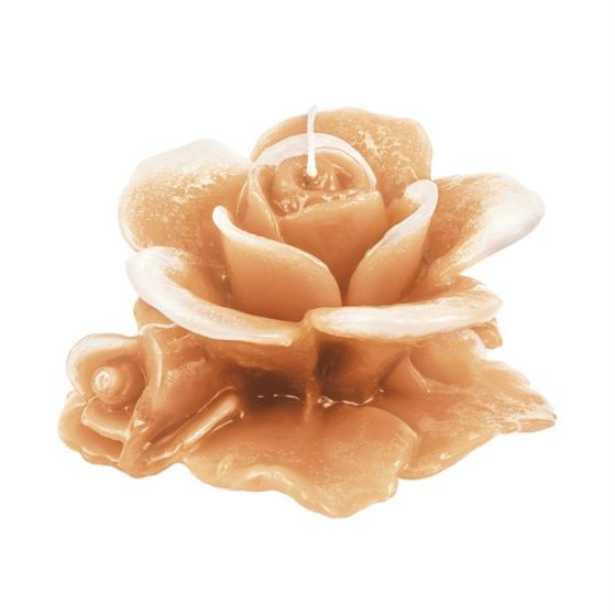 CANDLE PASSION ROSE IVORY
