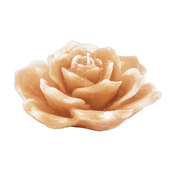 CANDLE TENDER ROSE IVORY