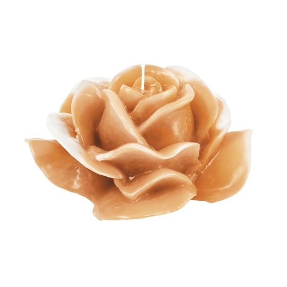 CANDLE CANDID ROSE IVORY