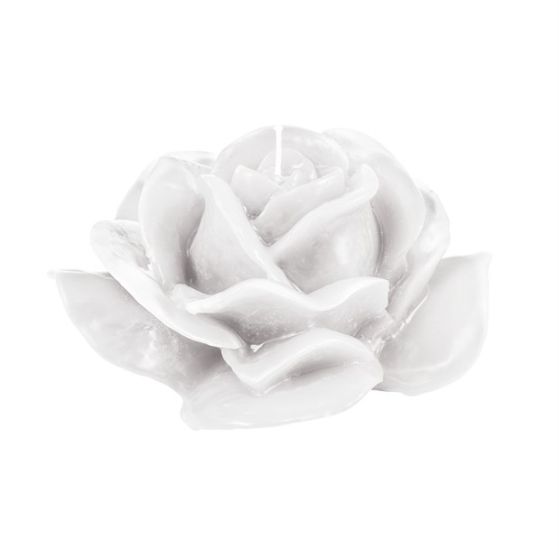 CANDLE CANDID ROSE WHITE