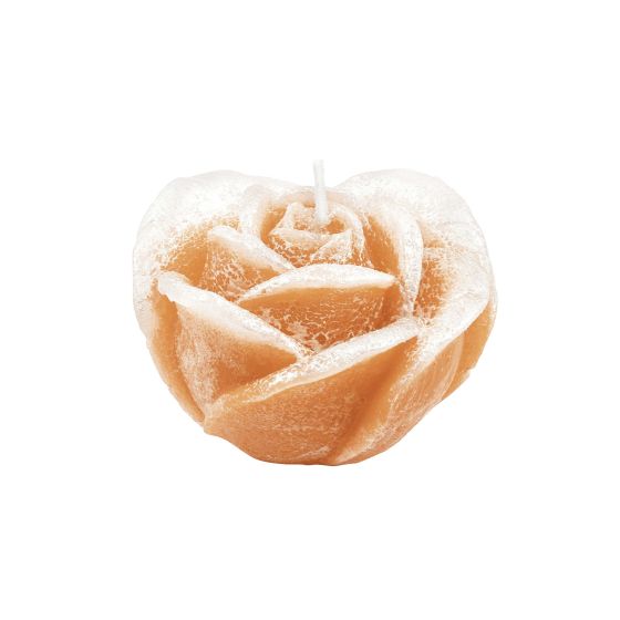 CANDLE ROSE 2 PEARLY IVORY
