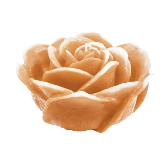 CANDLE VIRGIN ROSE IVORY