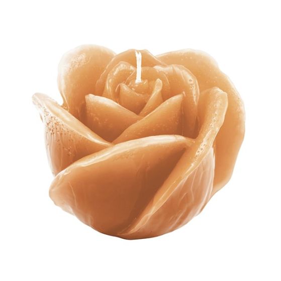 CANDLE VIRGIN BUD IVORY