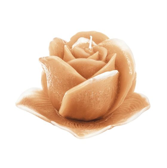CANDLE VIRGIN BUD WITH PLATE IVORY
