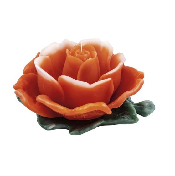 CANDLE DIVINE ROSE ORANGE