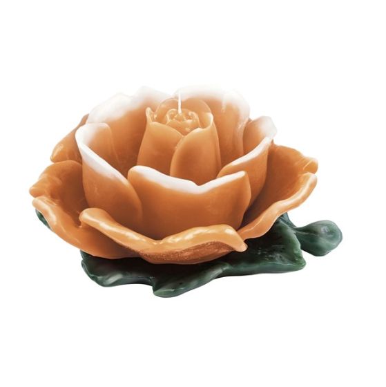 CANDLE DIVINE ROSE IVORY