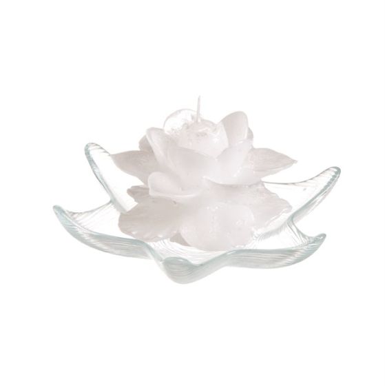 CANDLE BEAUTIFUL ROSE PEARLY WHITE WITH EF-11