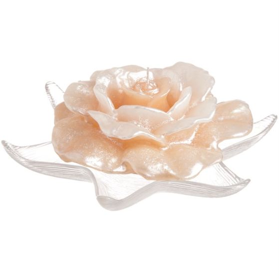 CANDLE UNIQUE ROSE PEARLY IVORY WITH EF-12