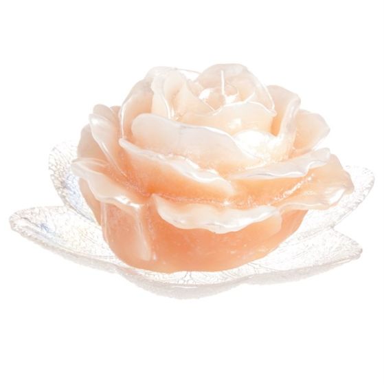 CANDLE SWEET ROSE PEARLY IVORY WITH EF-53