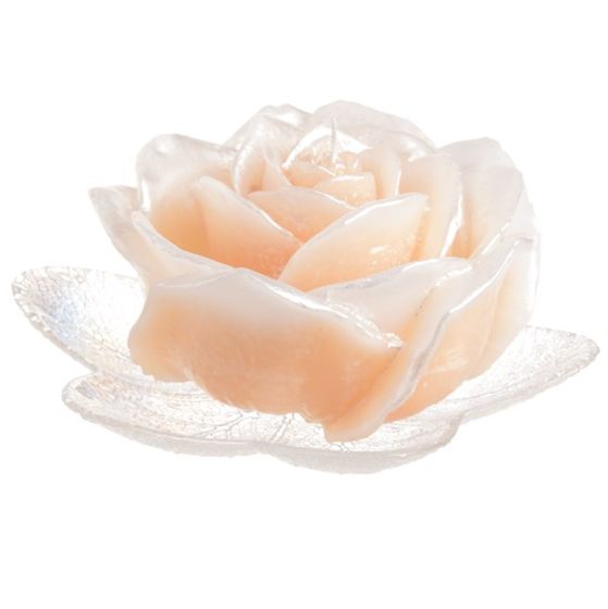 CANDLE VIRGIN ROSE PEARLY IVORY WITH EF-53