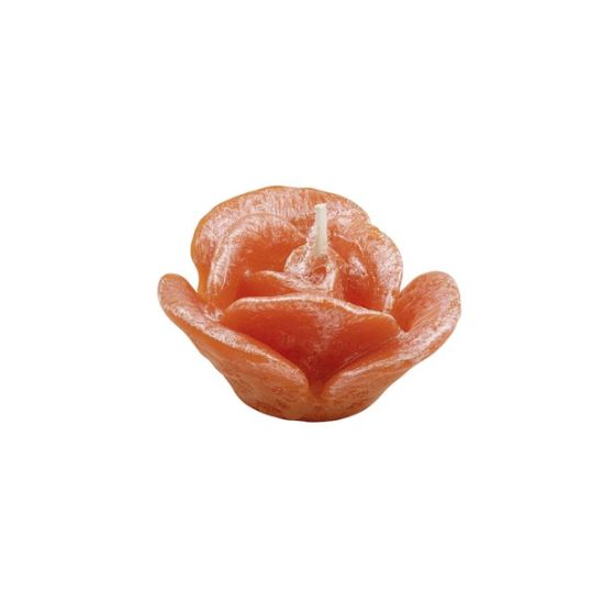 CANDLE THREE-PETAL ROSE PEARLY ORANGE
