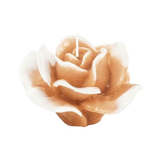 CANDLE FINE ROSE IVORY